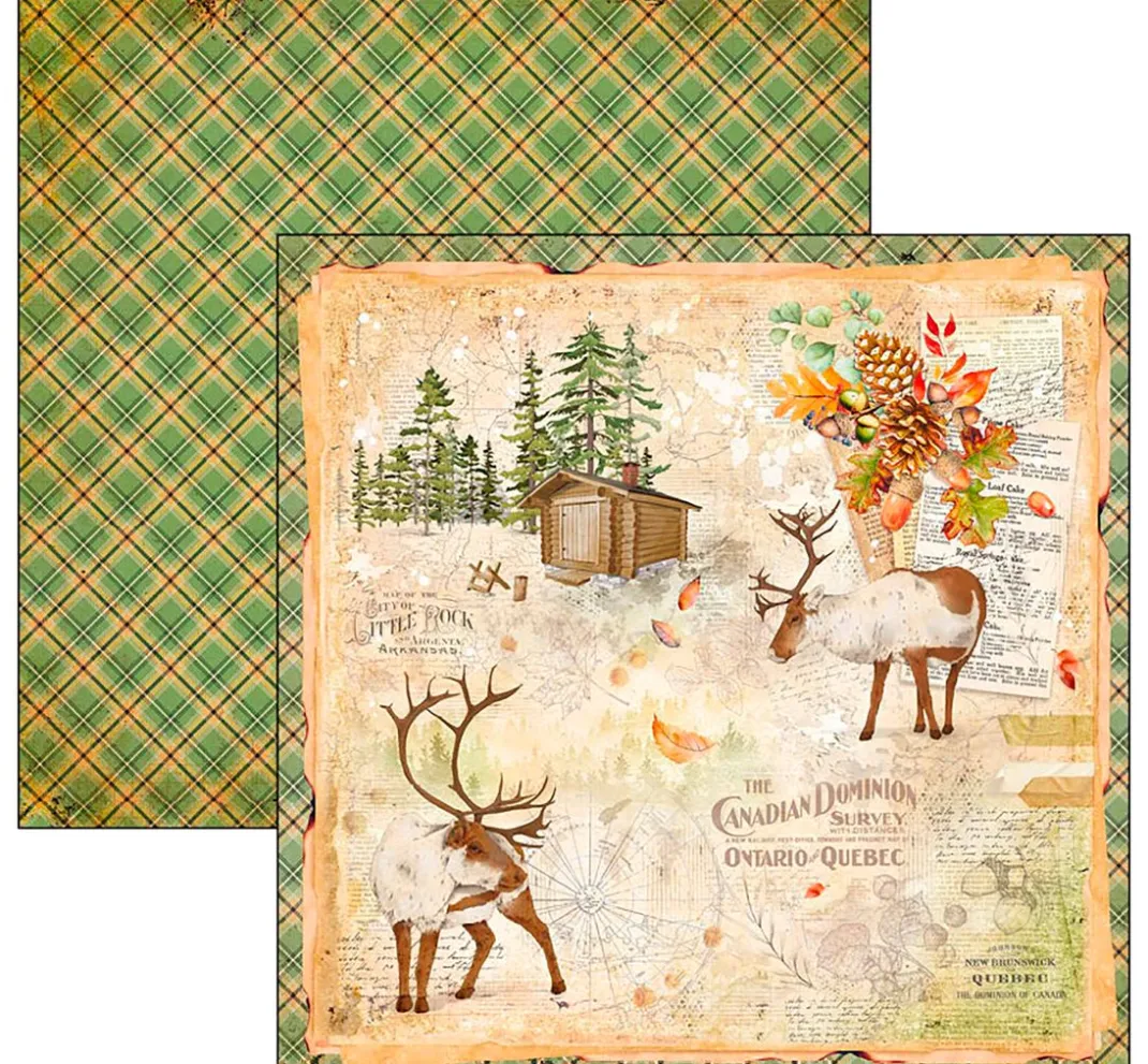 Kinder Ciao Bella Papier|Farb- & Motivblöcke>Scrapbook-Papier "Into the Wild"