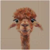 IHR Serviettentechnik|Alltäglich>Serviette "Alpaca Fernando"