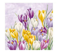 IHR Frühling|Serviettentechnik>Serviette "Blühender Krokus"