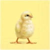 IHR Serviettentechnik|Ostern>Serviette "Easter Chick"