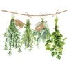 Ambiente Sommer|Alltäglich>Serviette "Frische Kräuter"