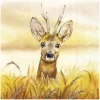 IHR Herbst|Serviettentechnik>Serviette "Golden Autumn"
