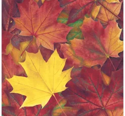 Paper+Design Herbst|Serviettentechnik>Serviette "Harvest Harmony"