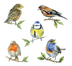 Ambiente Sommer|Frühling>Serviette "Heimische Vögel"