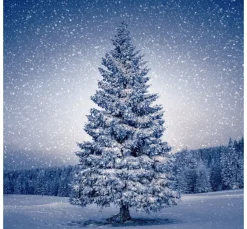 Paper+Design Winter|Serviettentechnik>Serviette "Magic Tree"