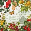 HOME FASHION Sommer|Serviettentechnik>Serviette "Summer Fruits"