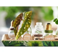 Ambiente Sommer|Alltäglich><noscript><img width=