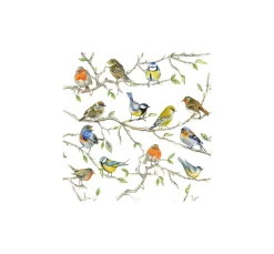 Ambiente Frühling|Serviettentechnik>Serviette "Vogel-Treffen"