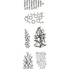 FarbTon Papier Stempel & Zubehör|Kartengestaltung>Silikonstempel für Faltblume "Design"