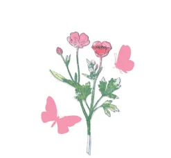 Sizzix Stempel & Zubehör|Stanz- & Prägemaschinen>Framelits Stanzschablone und Clear Stamps "Painted Pencil Botanical"