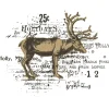 Sizzix Stanz- & Prägemaschinen>Stanzschablone und Clear Stamps "Reindeer Mix Cluster by 49 and Market"
