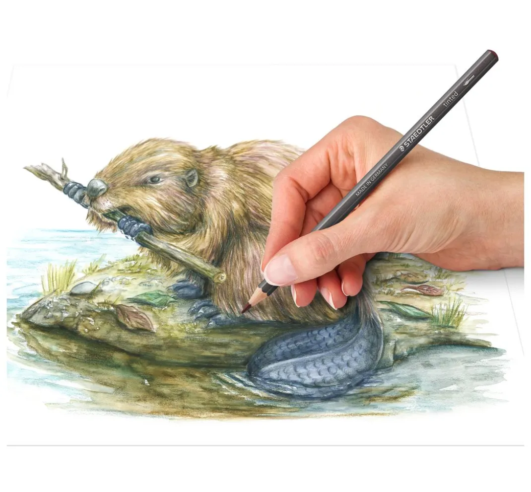 STAEDTLER Aquarell|Farbsets>Aquarellstifte tinted, 12er-Set