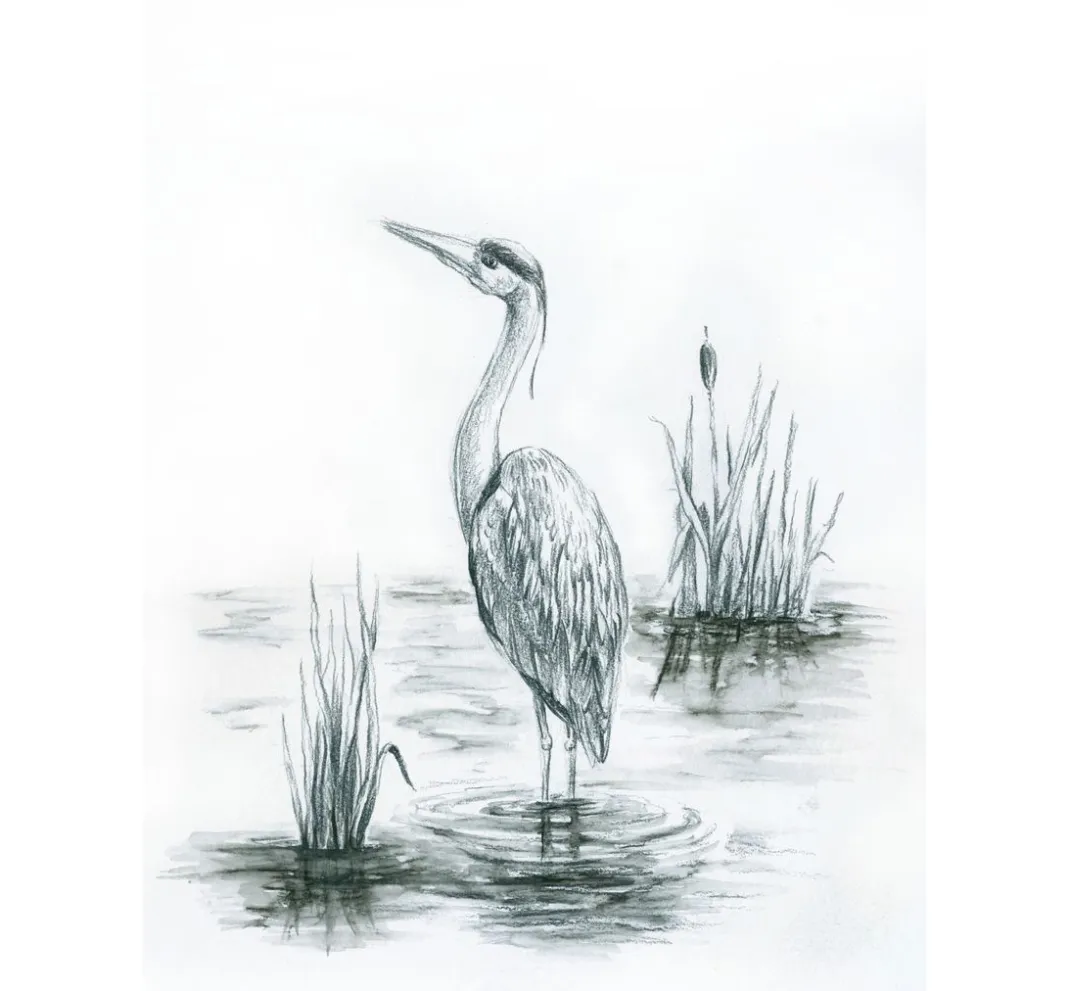 STAEDTLER Aquarell|Stifte>Watercolour "Bleistift"