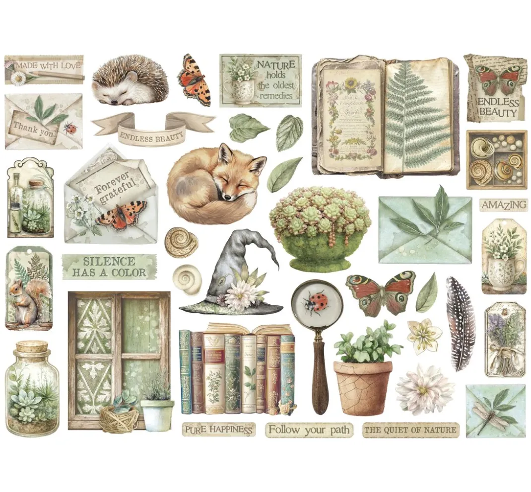 Stamperia Scrapbooking|Kartengestaltung>Stanzmotive "Herbarium Silvae"