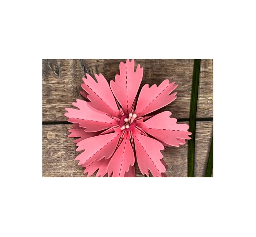 FarbTon Papier Stanz- & Prägemaschinen|Schablonen>Stanzschablonen-Faltblume "Cosmea"