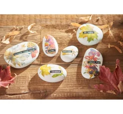 Pronty Crafts Sticker & Klebebänder|Kartengestaltung><noscript><img width=