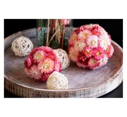 VBS Trockenblumen & - Früchte|Blumen><noscript><img width=