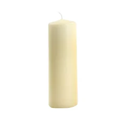 Wiedemann Kerzen Gestalten>Stumpenkerze Flachkopf 100/50mm