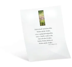 folia Laterne Basteln|Transparentpapier>Transparentpapier, 10 Blatt