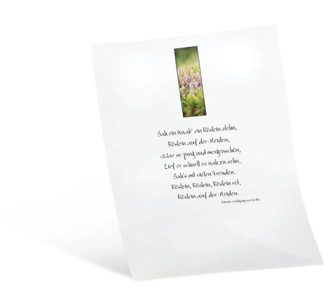folia Laterne Basteln|Transparentpapier>Transparentpapier, 10 Blatt