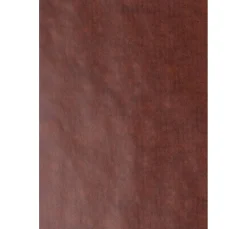 folia Laterne Basteln|Transparentpapier><noscript><img width=