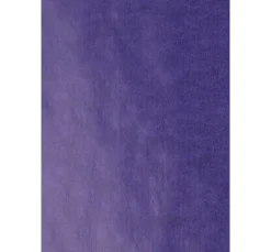 folia Laterne Basteln|Transparentpapier><noscript><img width=