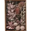 Othmar Decorations Trockenblumen & - Früchte|Naturmaterialien>Trockenblüten Potpourri Set "Pearl Pink"