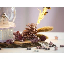 Othmar Decorations Trockenblumen & - Früchte|Naturmaterialien><noscript><img width=
