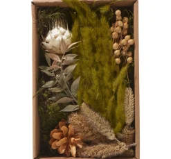 Othmar Decorations Trockenblumen & - Früchte|Naturmaterialien>Trockenblüten Potpourri Set "Natural"