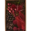 Othmar Decorations Trockenblumen & - Früchte|Naturmaterialien>Trockenblüten Potpourri Set "Red"