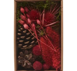 Othmar Decorations Trockenblumen & - Früchte|Naturmaterialien>Trockenblüten Potpourri Set "Red"