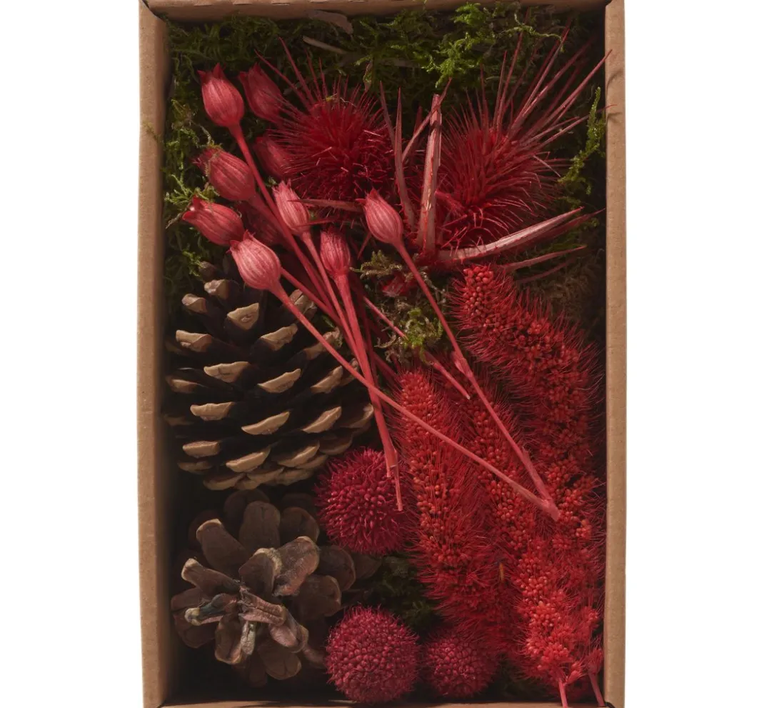 Othmar Decorations Trockenblumen & - Früchte|Naturmaterialien>Trockenblüten Potpourri Set "Red"