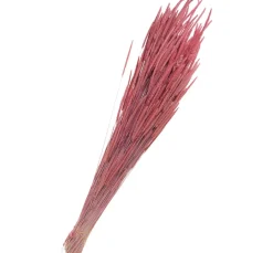 Othmar Decorations Trockenblumen & - Früchte><noscript><img width=