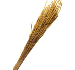 Othmar Decorations Trockenblumen & - Früchte><noscript><img width=