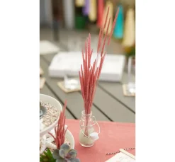 Othmar Decorations Trockenblumen & - Früchte><noscript><img width=