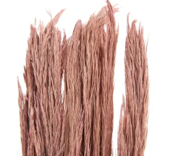 Othmar Decorations Trockenblumen & - Früchte>Trockenblumen "Sanmuga Grass"