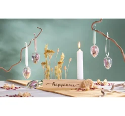 Othmar Decorations Trockenblumen & - Früchte><noscript><img width=