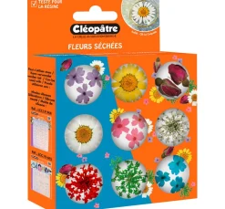 Cléopâtre Schmuck Gießen|Trockenblumen & - Früchte>Trockenblumen Sortiment, 9 Tiegel