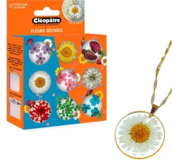 Cléopâtre Schmuck Gießen|Trockenblumen & - Früchte>Trockenblumen Sortiment, 9 Tiegel