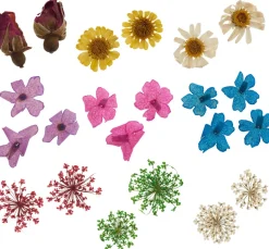 Cléopâtre Schmuck Gießen|Trockenblumen & - Früchte><noscript><img width=