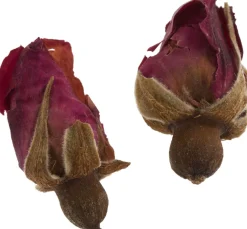 Cléopâtre Schmuck Gießen|Trockenblumen & - Früchte><noscript><img width=