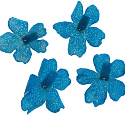 Cléopâtre Schmuck Gießen|Trockenblumen & - Früchte><noscript><img width=