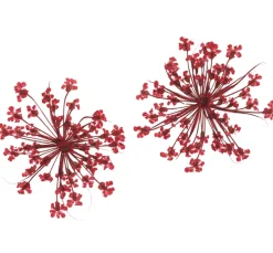Cléopâtre Schmuck Gießen|Trockenblumen & - Früchte><noscript><img width=