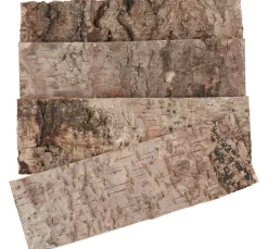 VBS Rindenartikel|Naturmaterialien>Baumrinde, natur