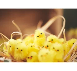Kinder VBS Chenilledraht|Dekofiguren & -Objekte><noscript><img width=