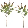 VBS Gräser & Beeren|Bäume & Zweige>Eukalyptus "Bendigo"