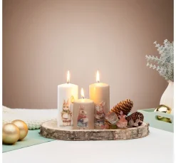 VBS Gräser & Beeren|Bäume & Zweige><noscript><img width=
