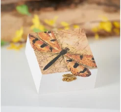 VBS Decoupage|Décopatch><noscript><img width=