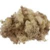 VBS Krippen-Zubehör|Moos>Islandmoos, 100 g