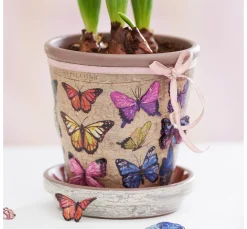 VBS Klarlack|Decoupage>Krakelier-Lack